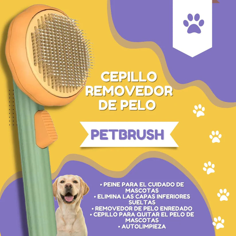 🐾🐶CEPILLO REMOVEDOR DE PELOS 🐾😺